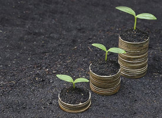 Economic Development featured image